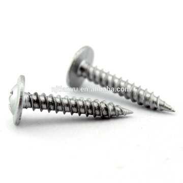 18-8 Stainless Steel #8 Phillips Truss Head Sheet Metal Self Tapping Screw